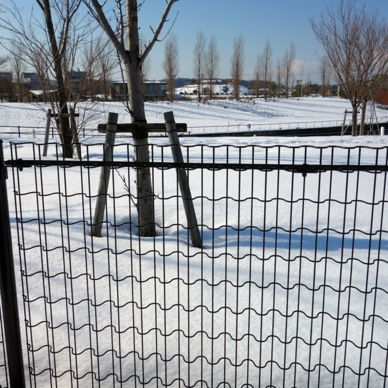 f:id:mzo:20130111130853j:plain f:id:mzo:20130111130853j:plain