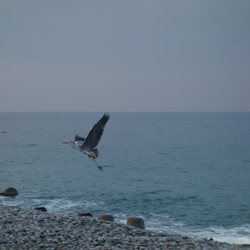 f:id:mzo:20130130165316j:plain f:id:mzo:20130130165316j:plain