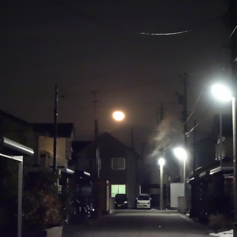 f:id:mzo:20130131220043j:plain f:id:mzo:20130131220043j:plain