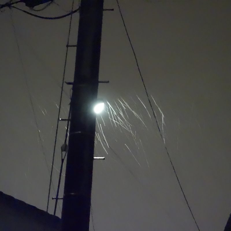 f:id:mzo:20130207193916j:plain f:id:mzo:20130207193916j:plain