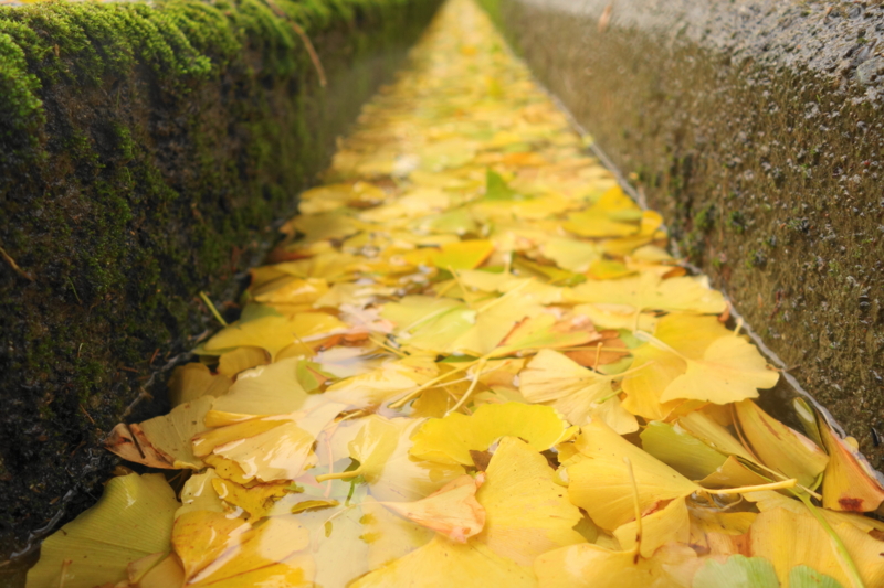 f:id:mzo:20131110143249j:plain f:id:mzo:20131110143249j:plain