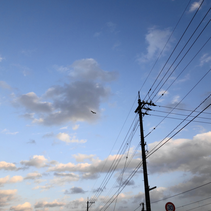 f:id:mzo:20140102160153j:plain