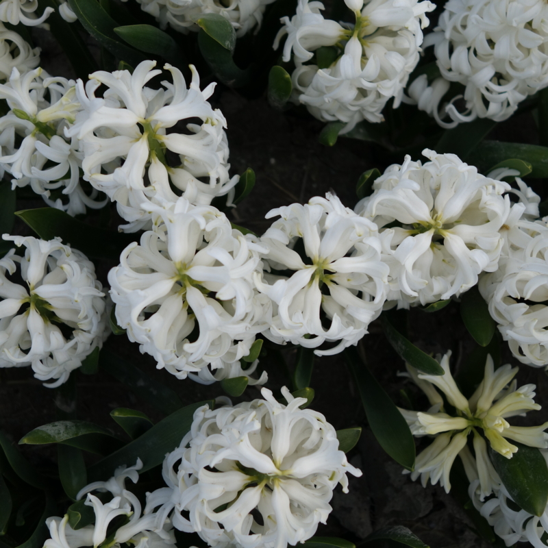 f:id:mzo:20140420155401j:plain f:id:mzo:20140420155401j:plain