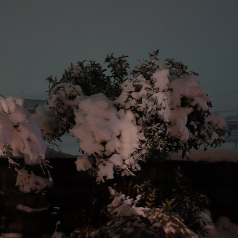 f:id:mzo:20150102204936j:plain f:id:mzo:20150102204936j:plain