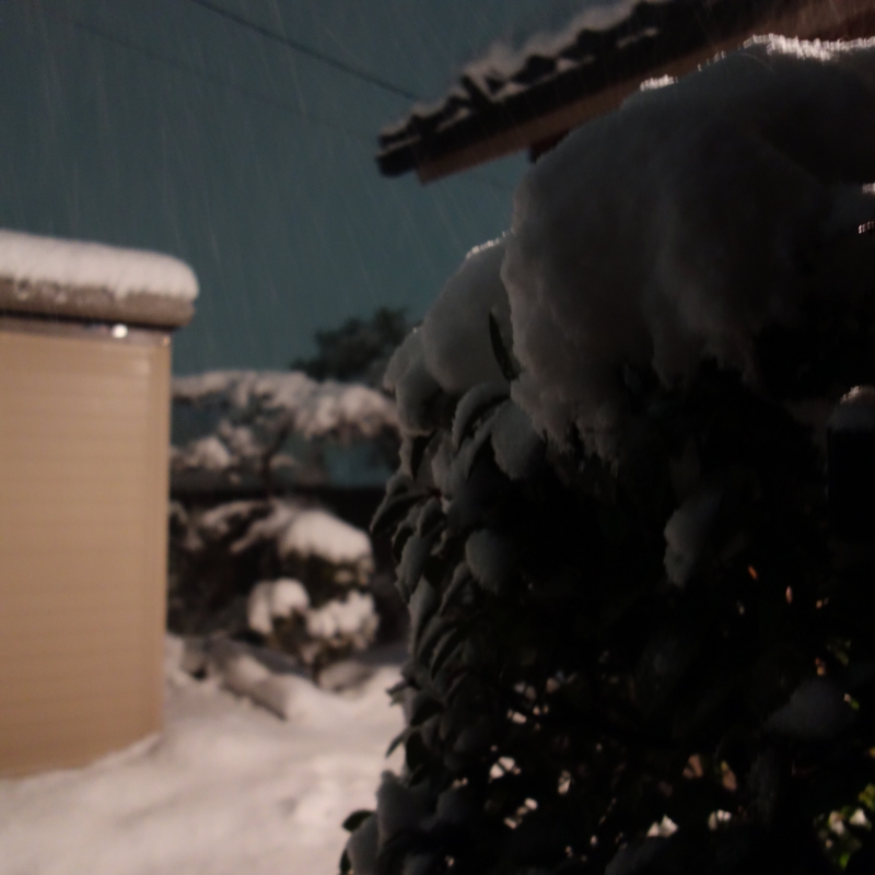 f:id:mzo:20150102204953j:plain f:id:mzo:20150102204953j:plain