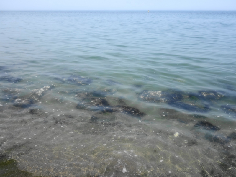 f:id:mzo:20150613113928j:plain f:id:mzo:20150613113928j:plain