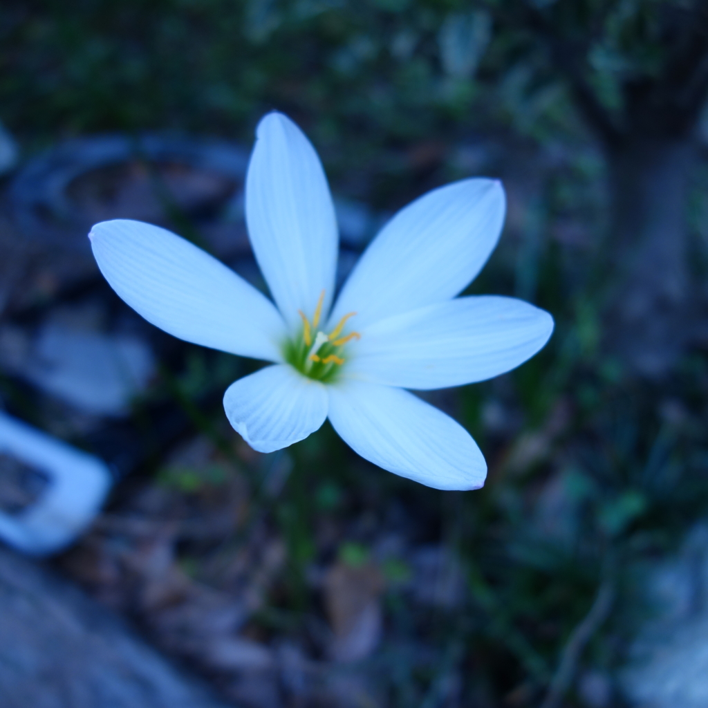 f:id:mzo:20150720130324j:plain f:id:mzo:20150720130324j:plain