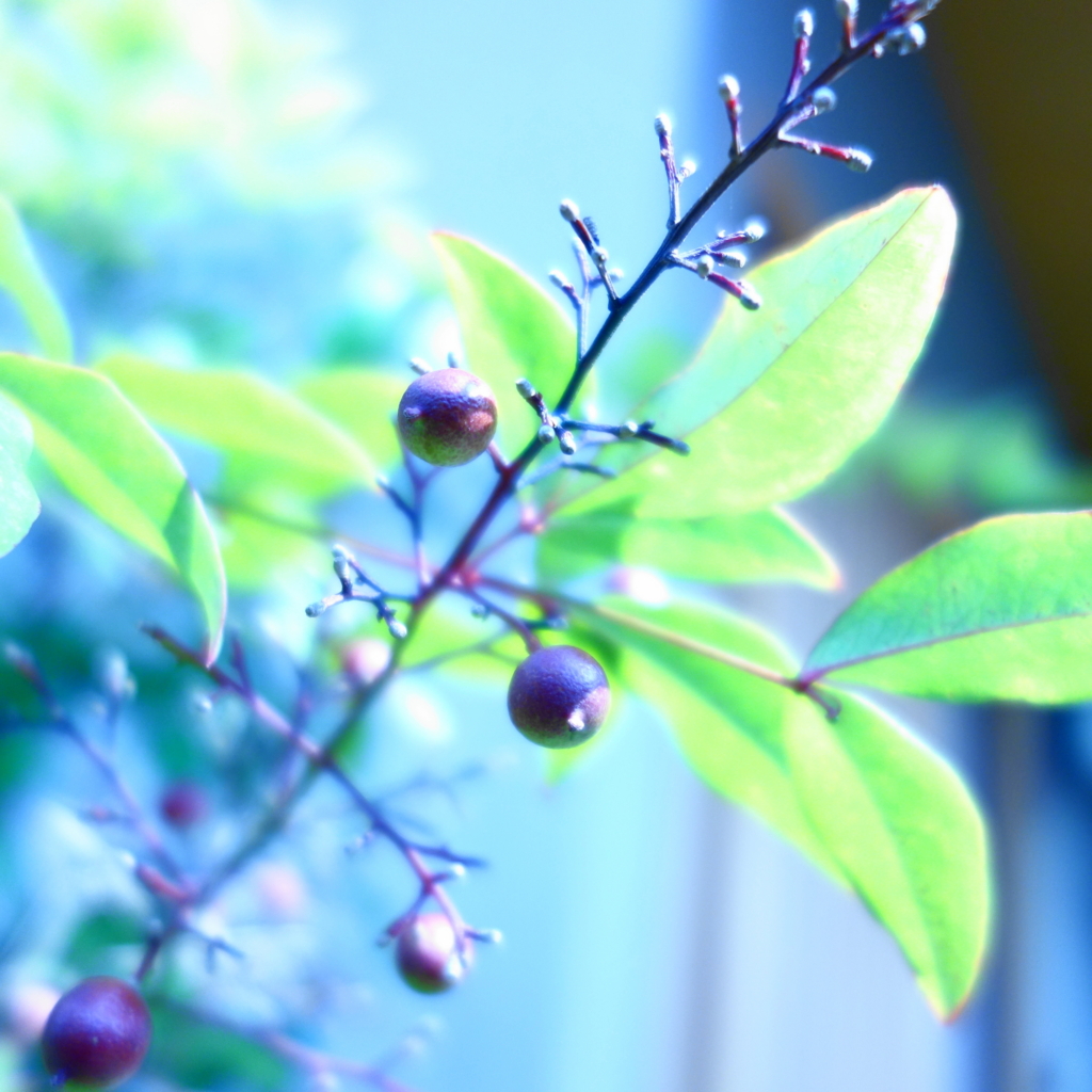 f:id:mzo:20151004210153j:plain f:id:mzo:20151004210153j:plain