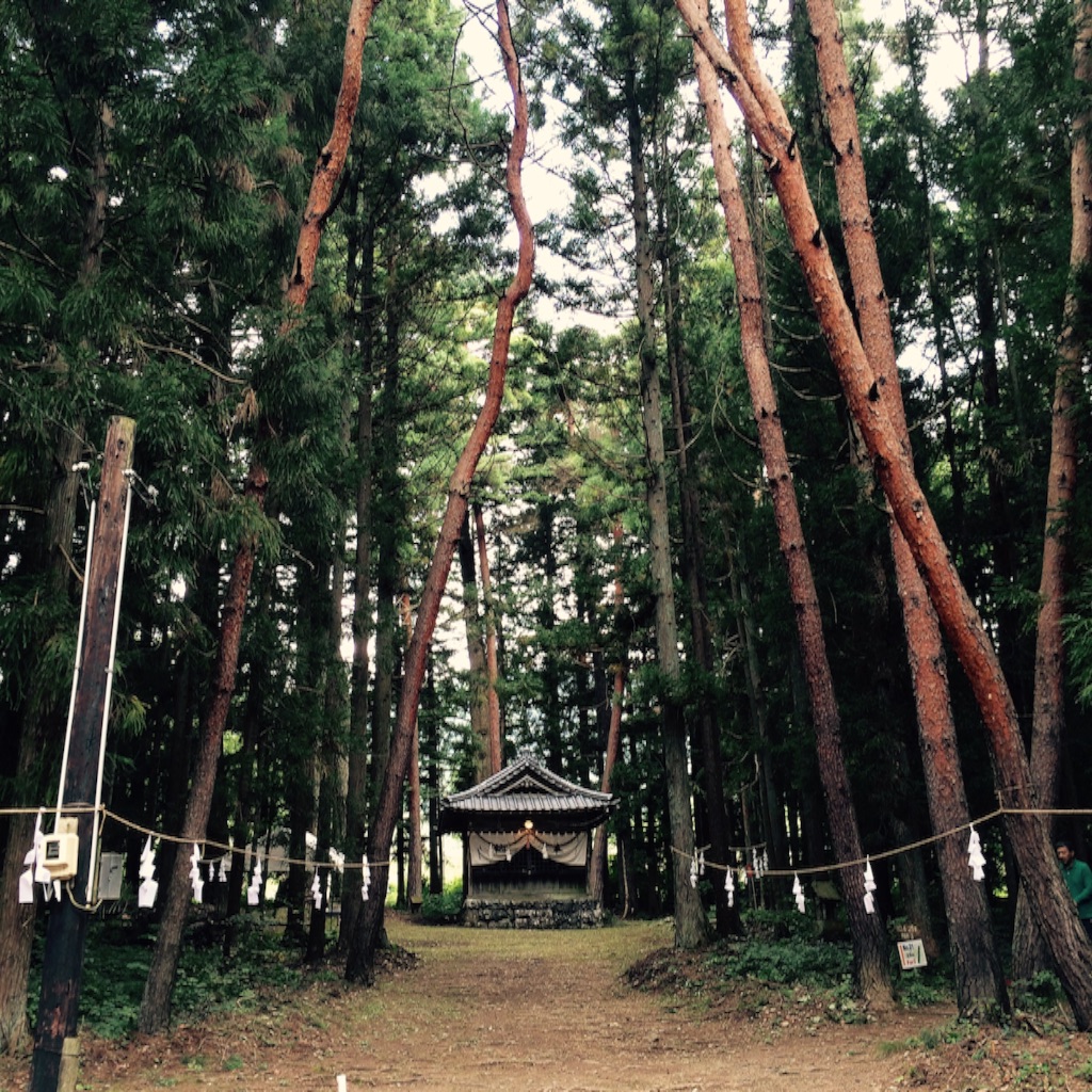 f:id:n399-chan:20150925161828j:image f:id:n399-chan:20150925161828j:image