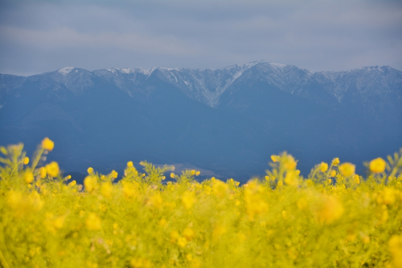 f:id:n_m_res:20160203142512j:plain f:id:n_m_res:20160203142512j:plain