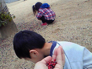 f:id:n_nomusan:20100314103200:image:w70:right f:id:n_nomusan:20100314103200:image:w70:right