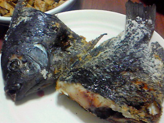 f:id:n_nomusan:20100314175000:image:w70:right f:id:n_nomusan:20100314175000:image:w70:right