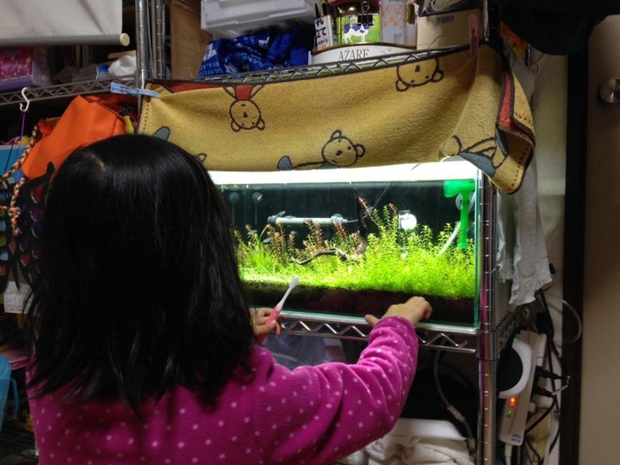 f:id:n_nomusan:20150226073945j:image:w80:right f:id:n_nomusan:20150226073945j:image:w80:right