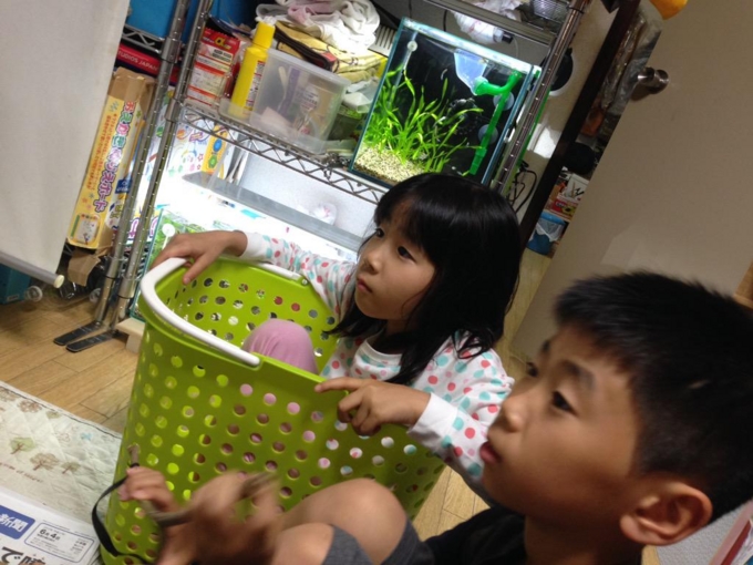 f:id:n_nomusan:20150606093341j:image:w80:right f:id:n_nomusan:20150606093341j:image:w80:right