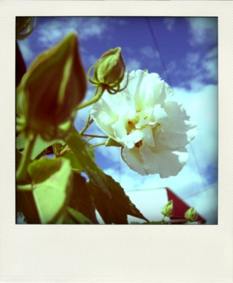 f:id:na0520:20101015142225j:image f:id:na0520:20101015142225j:image
