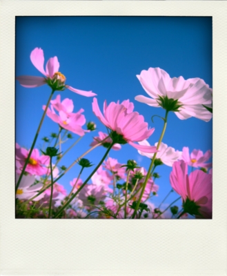 f:id:na0520:20101126075228j:image f:id:na0520:20101126075228j:image