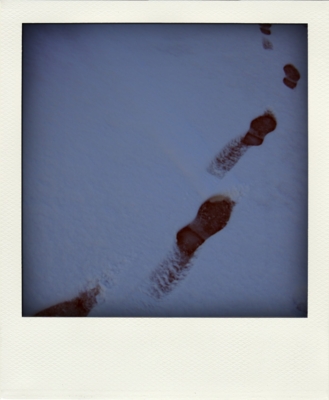 f:id:na0520:20110117200024j:image f:id:na0520:20110117200024j:image