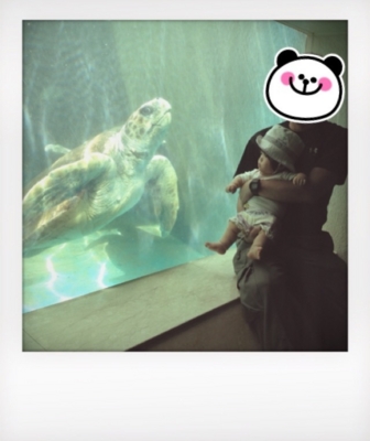 f:id:na0520:20130702145029j:image f:id:na0520:20130702145029j:image