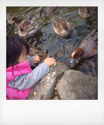 f:id:na0520:20131121110305j:image f:id:na0520:20131121110305j:image