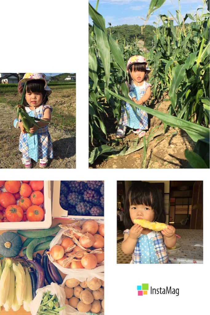 f:id:na0520:20150723002153j:image f:id:na0520:20150723002153j:image