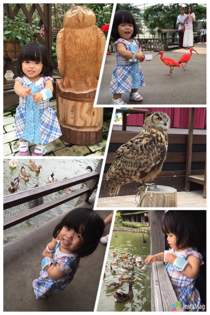 f:id:na0520:20150723002220j:image f:id:na0520:20150723002220j:image