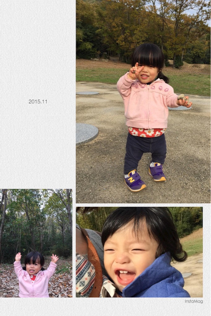 f:id:na0520:20151123233959j:image f:id:na0520:20151123233959j:image