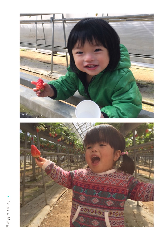 f:id:na0520:20160221204037j:image f:id:na0520:20160221204037j:image