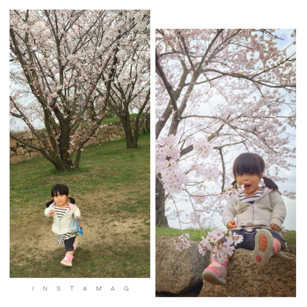 f:id:na0520:20160406013948j:image f:id:na0520:20160406013948j:image