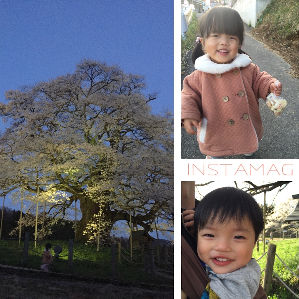 f:id:na0520:20160411221850j:image f:id:na0520:20160411221850j:image