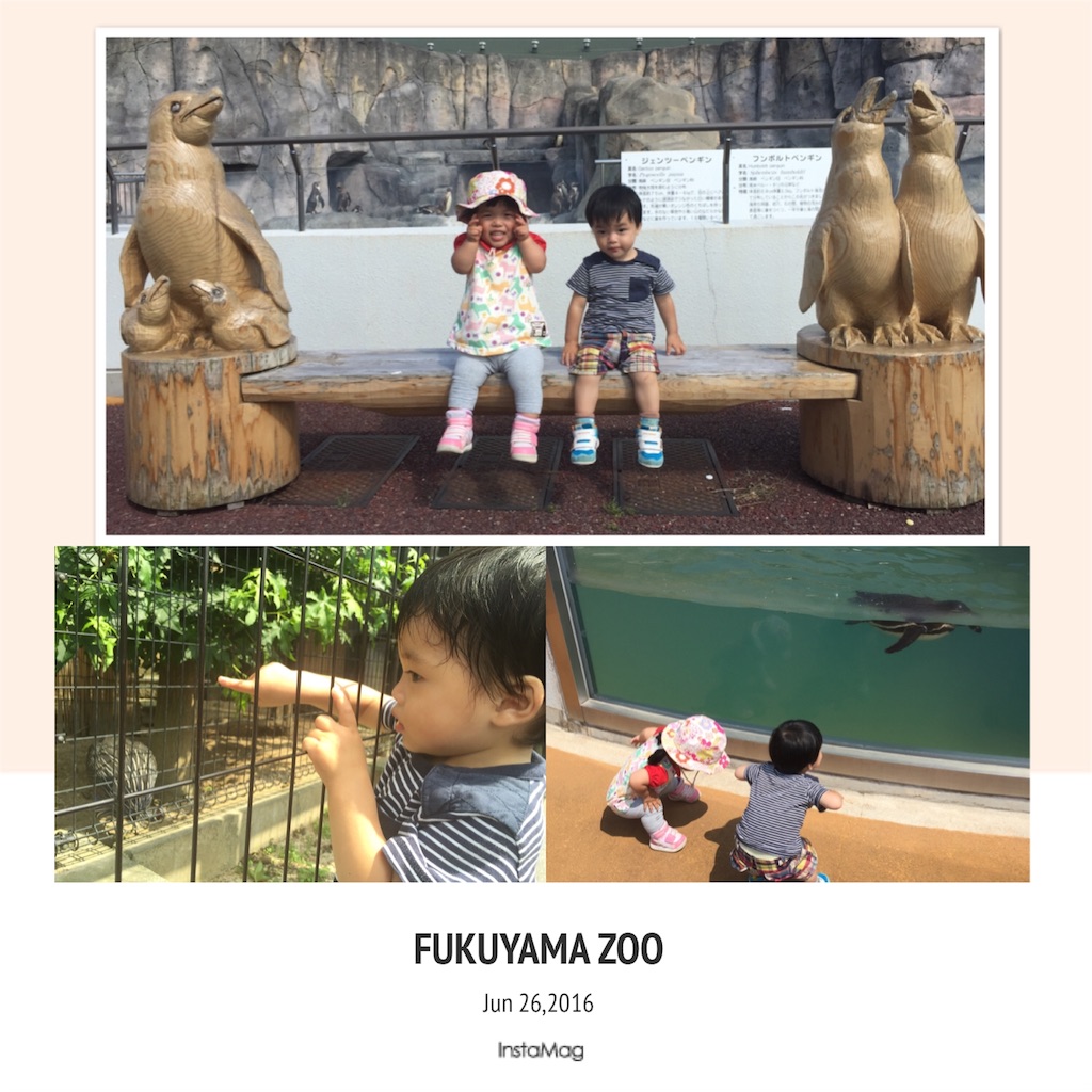 f:id:na0520:20160629205333j:image f:id:na0520:20160629205333j:image