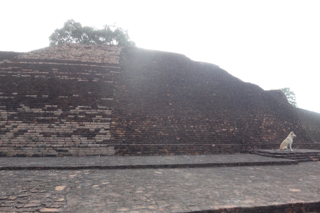 f:id:nacarthur:20150907133920j:image f:id:nacarthur:20150907133920j:image