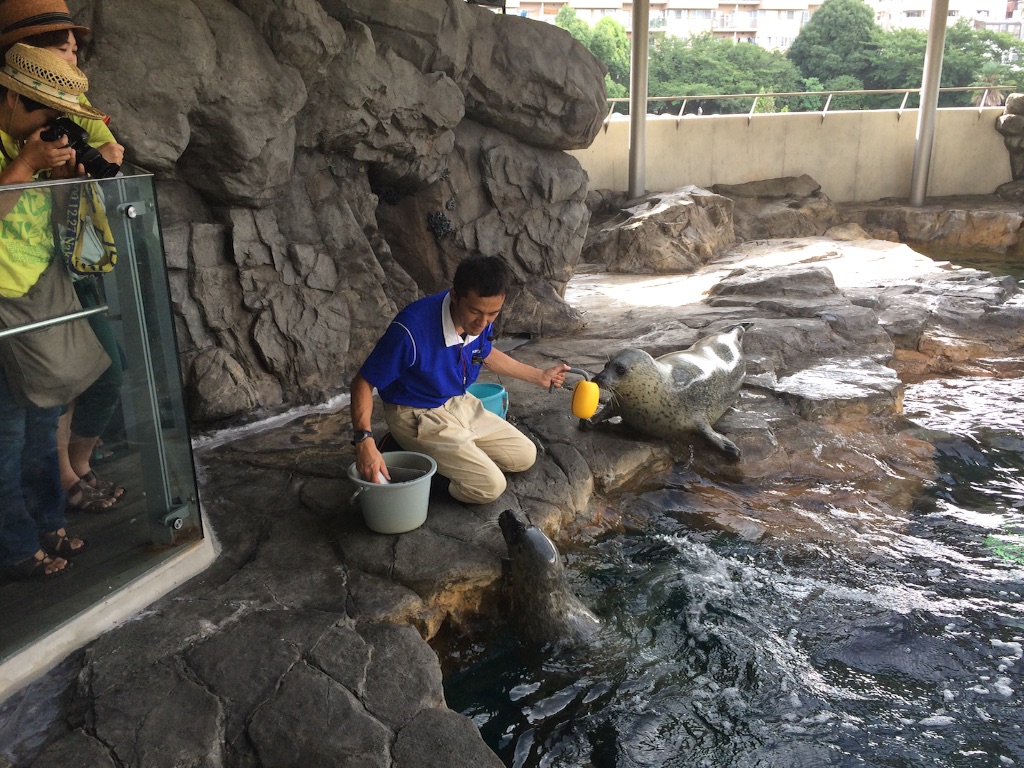 f:id:nachi321:20160513024358j:image f:id:nachi321:20160513024358j:image