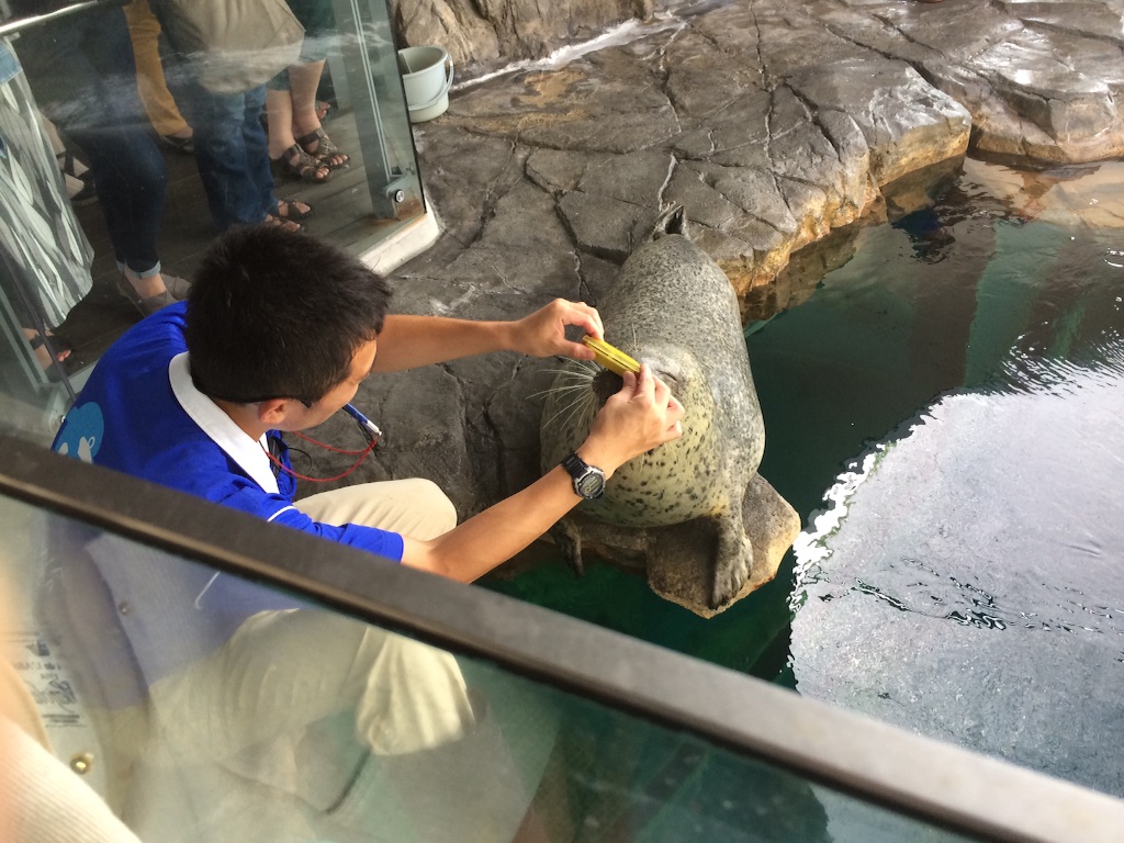 f:id:nachi321:20160513025813j:image f:id:nachi321:20160513025813j:image