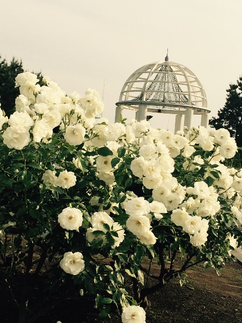 f:id:nacht90:20150602143010j:image f:id:nacht90:20150602143010j:image