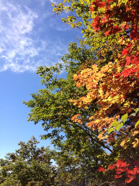 f:id:nafk-10s231:20140927231525j:plain f:id:nafk-10s231:20140927231525j:plain