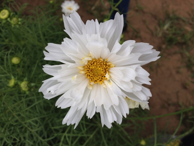 f:id:nafk-10s231:20141005221220j:plain f:id:nafk-10s231:20141005221220j:plain