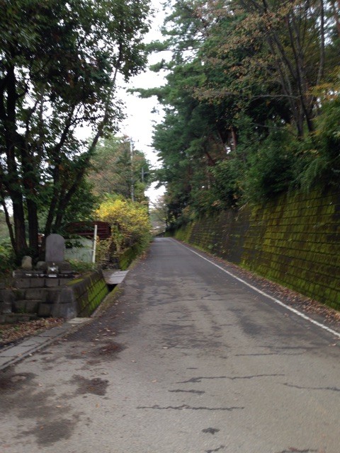 f:id:naga-yu:20141103184841j:plain f:id:naga-yu:20141103184841j:plain