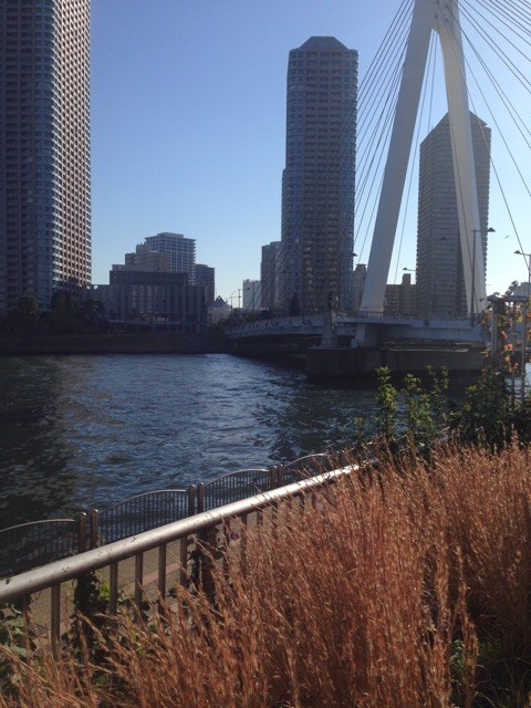 f:id:naga-yu:20141115222747j:plain f:id:naga-yu:20141115222747j:plain