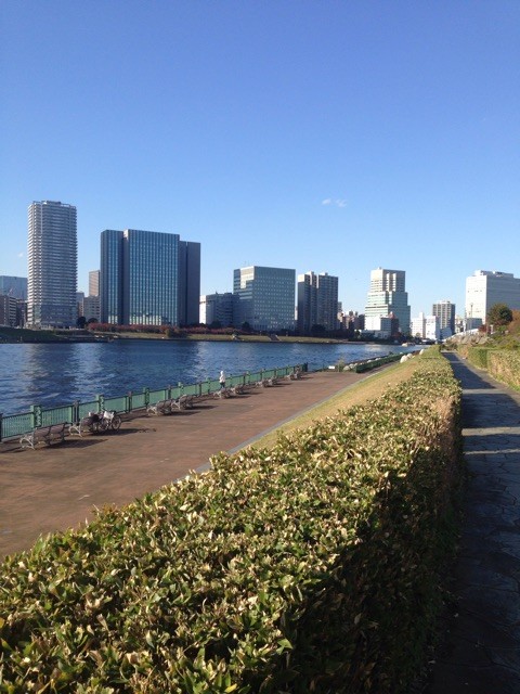 f:id:naga-yu:20141115222826j:plain f:id:naga-yu:20141115222826j:plain