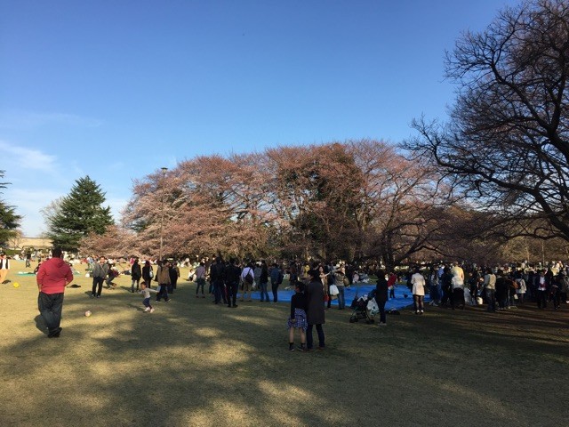 f:id:naga-yu:20150328182915j:plain f:id:naga-yu:20150328182915j:plain
