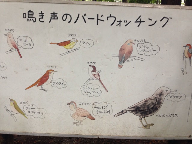 f:id:nagabuchi55544:20140812022346j:plain f:id:nagabuchi55544:20140812022346j:plain