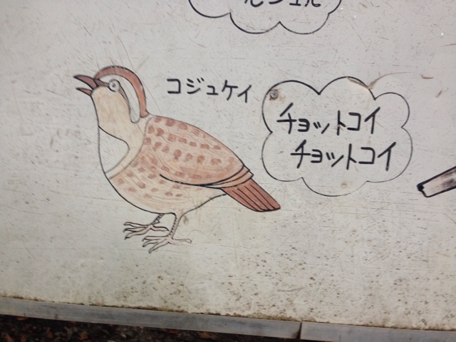 f:id:nagabuchi55544:20140812024257j:plain f:id:nagabuchi55544:20140812024257j:plain