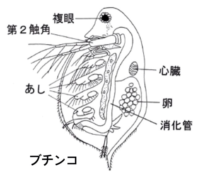 f:id:nagabuchi55544:20141217003406j:plain f:id:nagabuchi55544:20141217003406j:plain