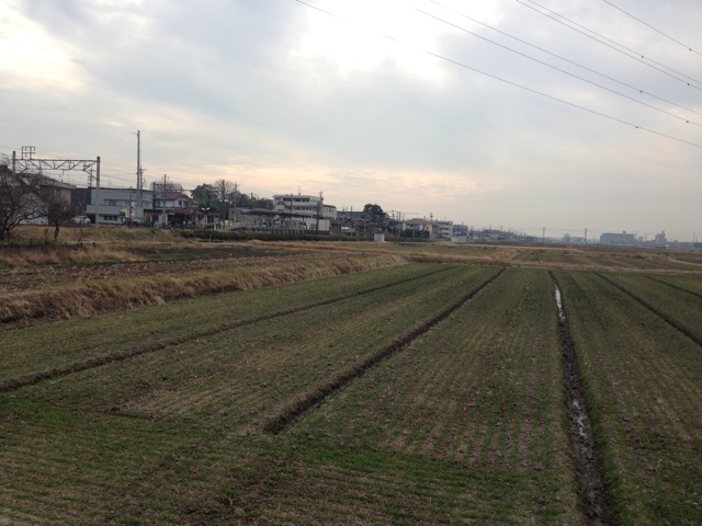 f:id:nagabuchi55544:20150121184344j:plain f:id:nagabuchi55544:20150121184344j:plain