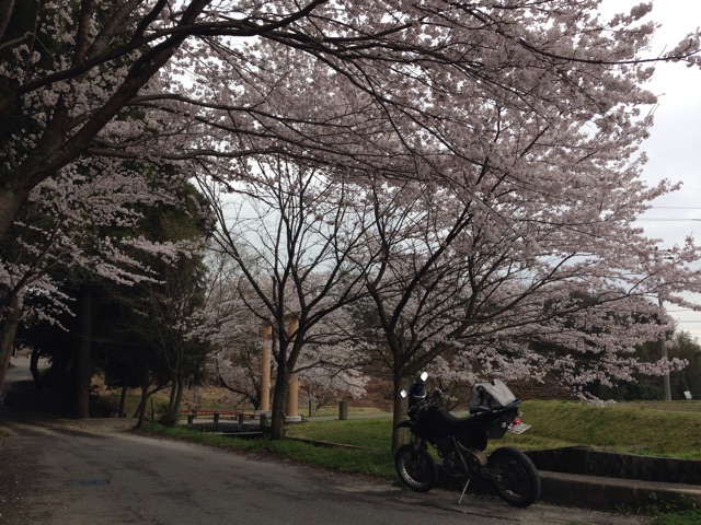f:id:nagabuchi55544:20150404194614j:plain f:id:nagabuchi55544:20150404194614j:plain