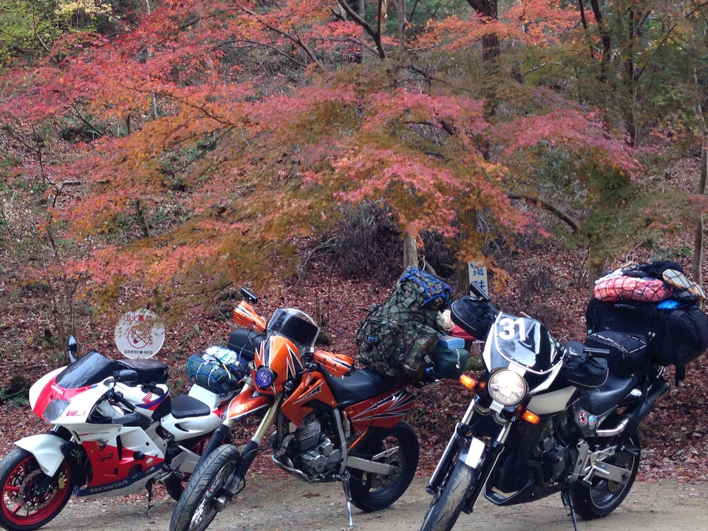 f:id:nagabuchi55544:20151207220536j:image f:id:nagabuchi55544:20151207220536j:image