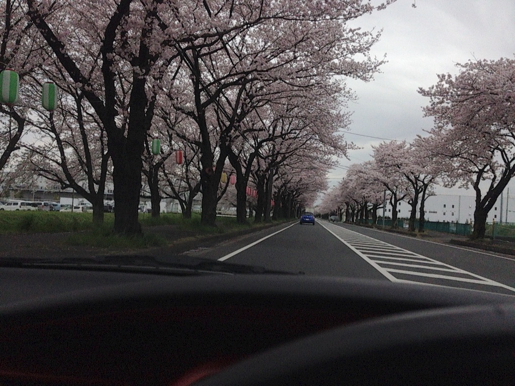 f:id:nagabuchi55544:20160405193840j:image f:id:nagabuchi55544:20160405193840j:image
