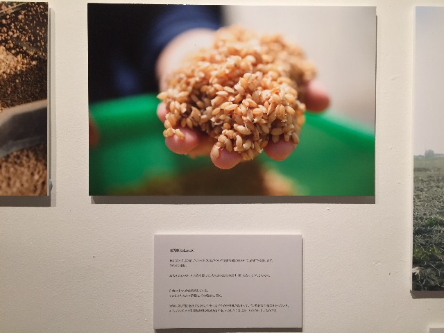 f:id:nagayasukumiko:20150518115506j:image f:id:nagayasukumiko:20150518115506j:image
