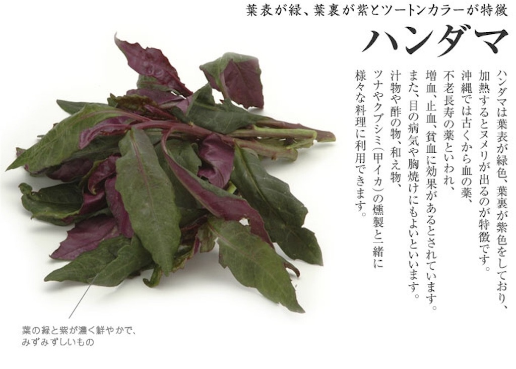 f:id:nagomiyasu-okinawa:20160311225252j:image f:id:nagomiyasu-okinawa:20160311225252j:image