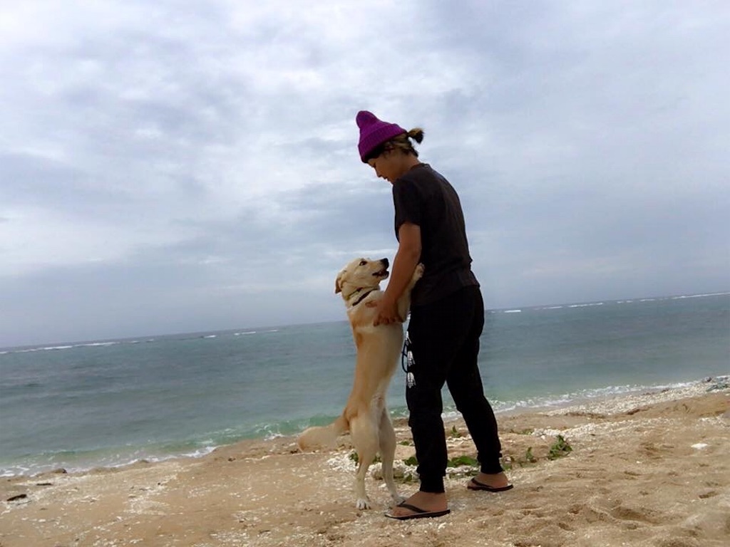f:id:nagomiyasu-okinawa:20160312001753j:image f:id:nagomiyasu-okinawa:20160312001753j:image
